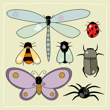 Insectsのイラスト素材