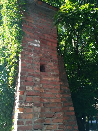 Old red brick wall in the gardenの写真素材