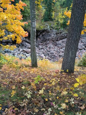 Autumn day in Imatra, Finlandの写真素材