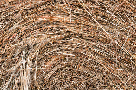 Close up photo of a round bale of hayの写真素材