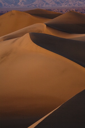 sand dune in death valleyの写真素材