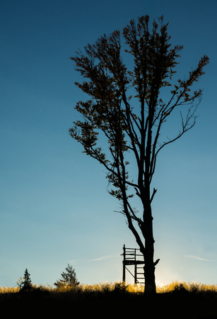 Hunting tower and tree on sunset in the mountains Novohradske, Czech Republic, Europeの写真素材