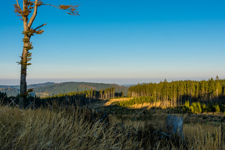 Autumn evening hiking in Novohradske mountains, Czech Republic, Europeの写真素材