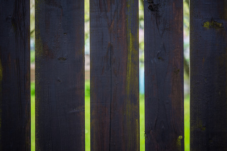 Tempting colorful world behind a dark wooden fence. Near and far away.の写真素材