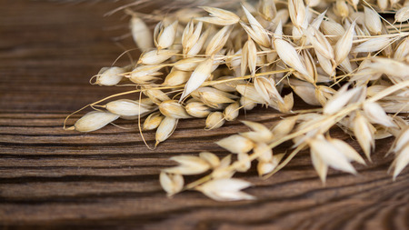 Beautiful dry oat on a wooden table. Decorative detail of cereal spikes on brown vintage background.の写真素材