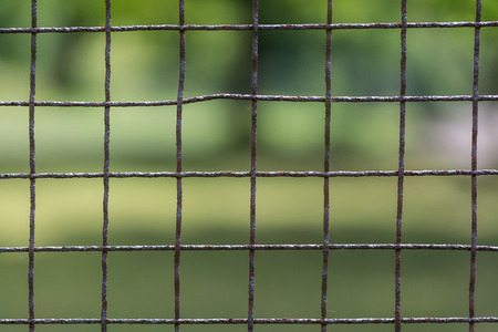 Rusty fence from mesh. Old wire enclosure with blurred greenery in the background.の写真素材