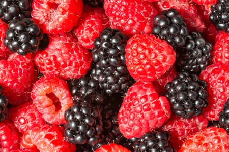 Background of delicious blackberries and raspberries. Decorative red and black texture from juicy...