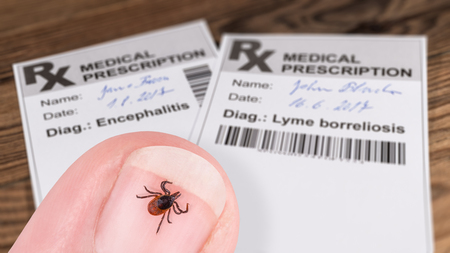 Castor bean tick and medical prescription with bar code. Ixodes ricinus. Infected parasite on detail of a human nail in the doctor's office. Diagnosis of encephalitis and Lyme borreliosis on a blurred wooden background.の写真素材