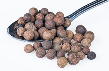 Close-up of whole allspices on a metal spoon. Pimenta dioica. Stainless steel spoonfull of aromatic...