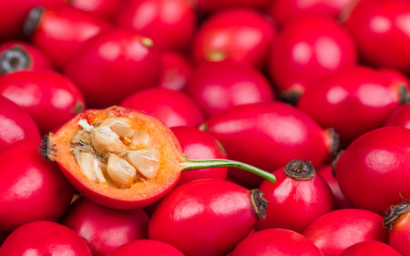 Rose hip half with core hairy seeds in sweet pulp on red fruits texture. Rosa canina. Close-up of rosehip cross-section in ripe brier berries heap on blur background. Health prevention and protection.の写真素材