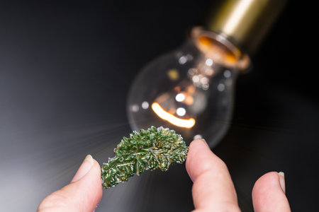 Collector hand holding green moldavite gemstone in backlight on black background. Rare vitreous silica mineral of cosmic origin in white rays of blur incandescent light bulb with bokeh. Czech tektite.の写真素材