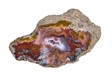 Close-up of cut polished gem agate passing to red jasper isolated on white background. Beautiful...