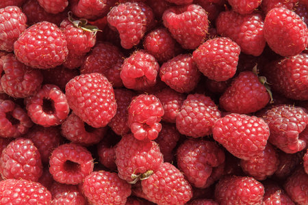 Delicious  fresh raspberries background