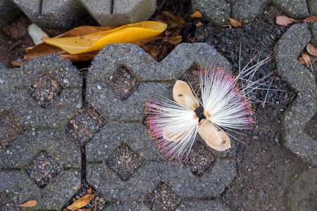 The brightly colored flowers falling on the worm-shaped bricks stand out.