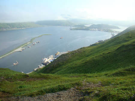 bay crabsの写真素材