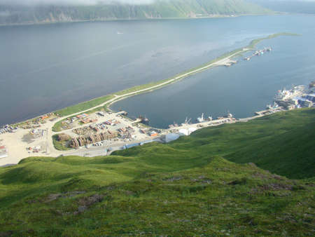 bay crabsの写真素材