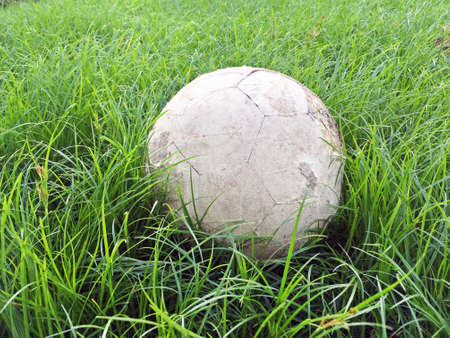 Old football in the middle of green rough grass fieldの写真素材