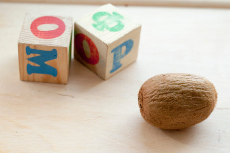 old kiwi and wooden cubes