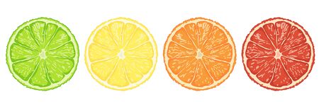 Set of slices lime,lemon,orange and grape fruit isolated on white background illustration vector eps10のイラスト素材
