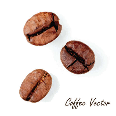 Coffee beans. Delicious drink. Isolated . vector fileのイラスト素材
