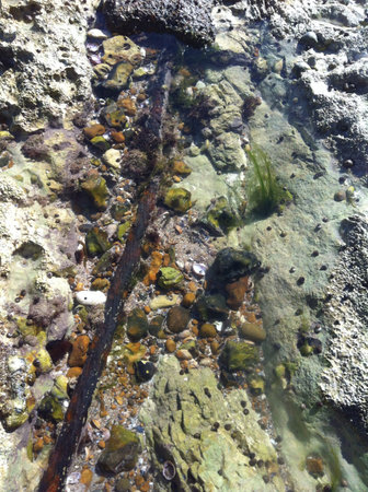rocks