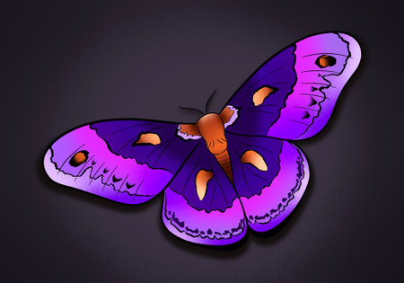 fantastic butterfly moth bright illustration art