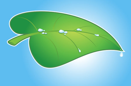 Green leaf with water dropsのイラスト素材