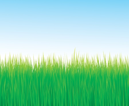 Green grass background with copy spaceのイラスト素材