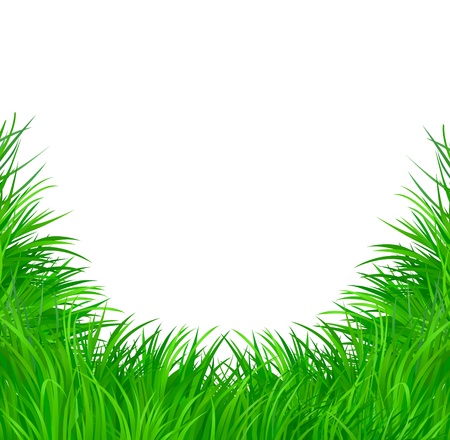 Green grass  のイラスト素材