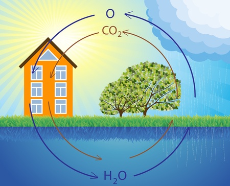 Animated vector schematic representation of the water cycle in natureのイラスト素材