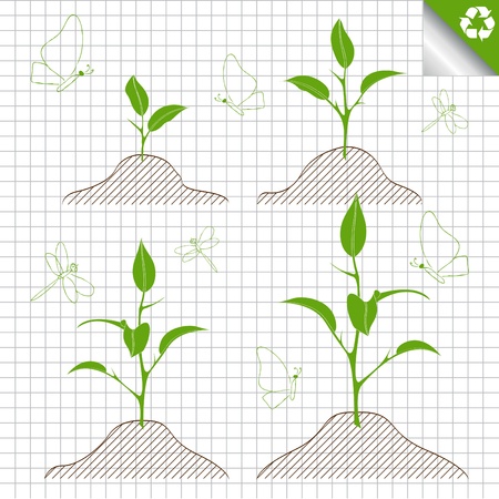 Green agriculture tree collectionのイラスト素材