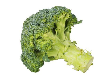 fresh green broccoli isolated on white backgroundの写真素材
