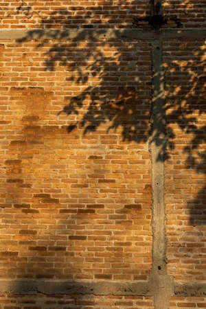 old brick wallの写真素材