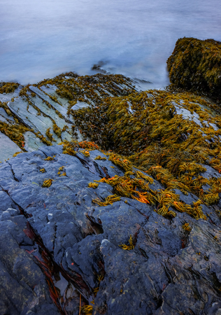 Portmeirion coast with longtime exposureの写真素材