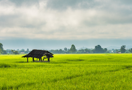 Cottage in the countryside, Chiangrai, Thailandの写真素材