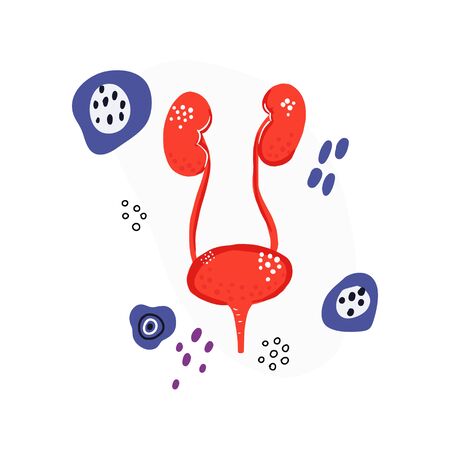 Urology health check banner templateのイラスト素材