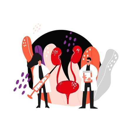 Two doctors treat bladder and kidneys. Medical illustration.のイラスト素材