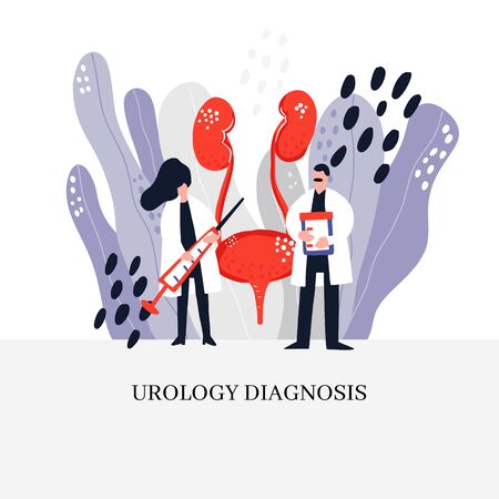 Two doctors treat bladder and kidneys. Medical illustration.のイラスト素材