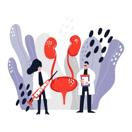 Two doctors treat bladder and kidneys. Medical illustration.のイラスト素材