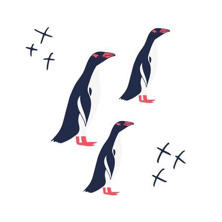Three cute vector penguins on white backgroundのイラスト素材