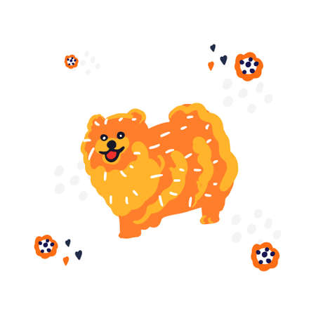 Hand drawn illustration of Spitz dog.のイラスト素材