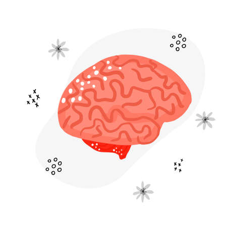 Vector Medical illustration of brain.のイラスト素材