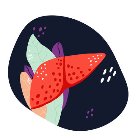 Hand drawn vector liver in leaves. Medical illustration.のイラスト素材