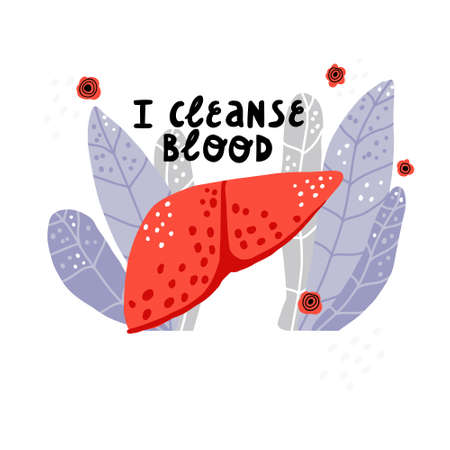 I cleanse blood. Hand drawn illustration of liver in leaves.のイラスト素材