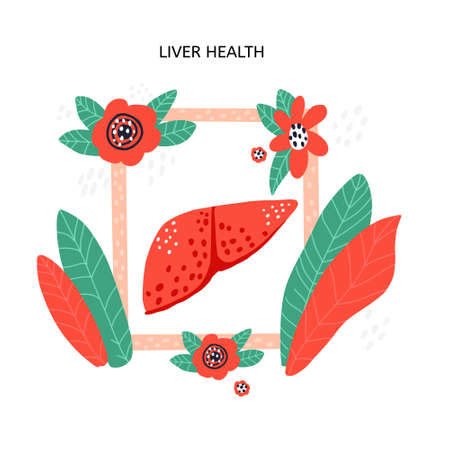 Hand drawn vector liver in frame. Medical illustration.のイラスト素材