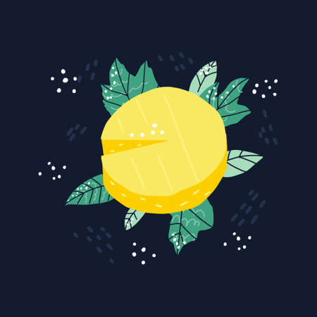 Cheese vector hand drawn illustration. Website, banner or poster templateのイラスト素材
