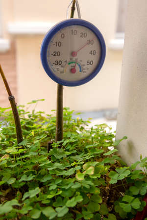 Vertical shot of a thermometer in a pot with lobelia plantsの写真素材