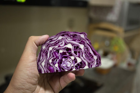A slice of purple cabbage on male hand
