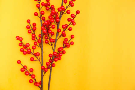 A branch of red berries on a yellow background. Place for text.の写真素材