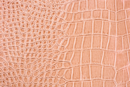 beige crocodile texture for backgroundの写真素材